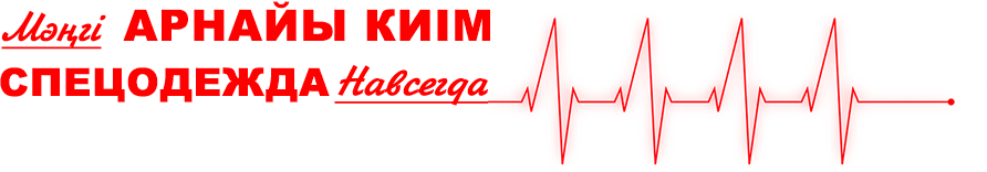 Главная